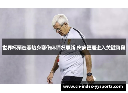 世界杯预选赛热身赛伤停情况更新 伤病管理进入关键阶段