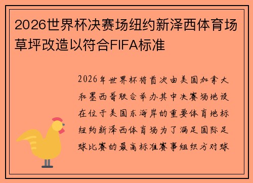 2026世界杯决赛场纽约新泽西体育场草坪改造以符合FIFA标准